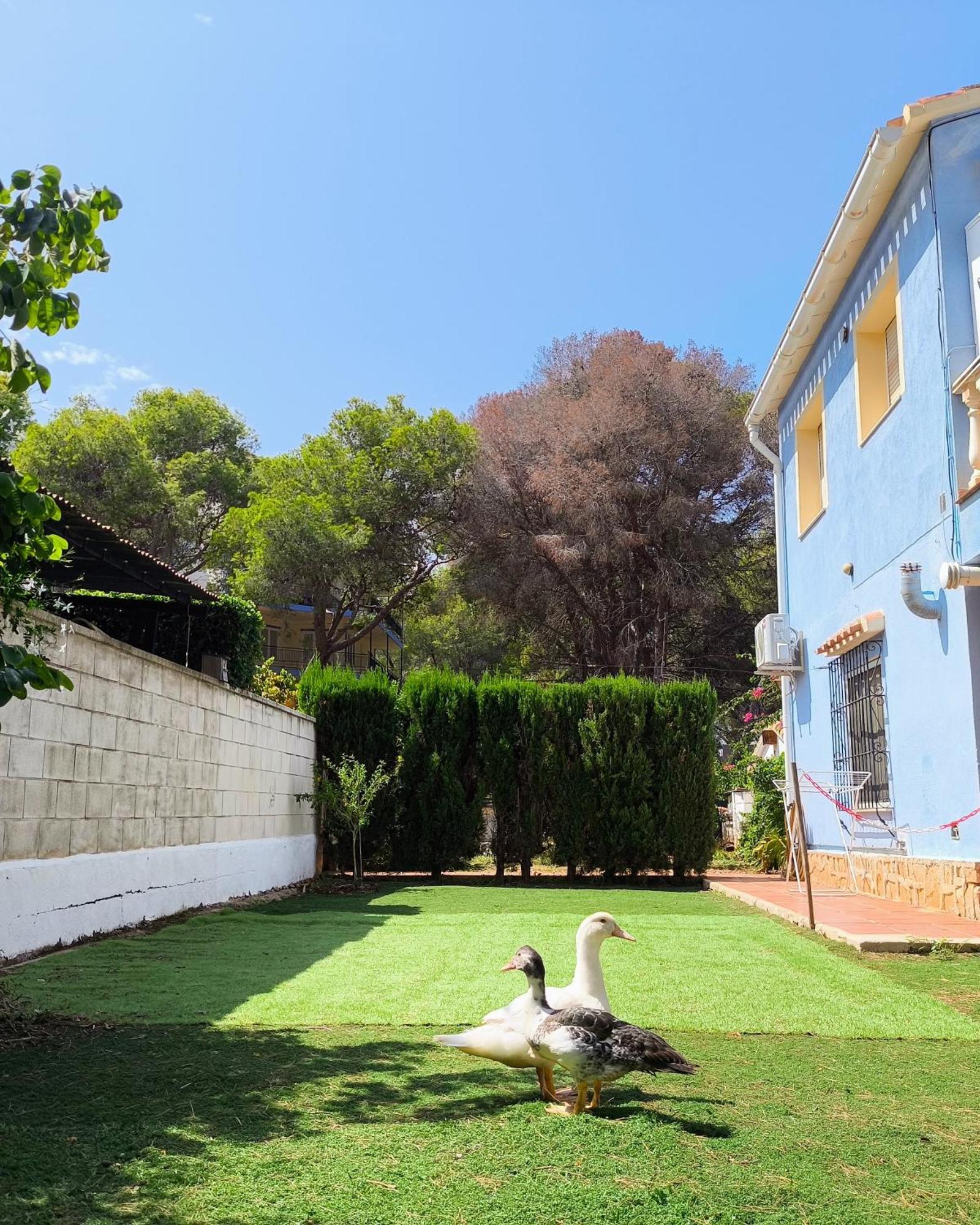 Estudio Las Rotas Denia Exterior photo